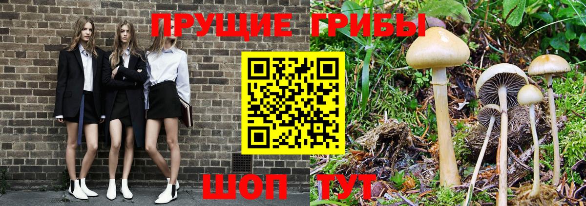 Псилоцибиновые грибы мухоморы  Вход с VPN  Рассказово 